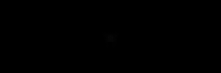 lesion_locations.gif